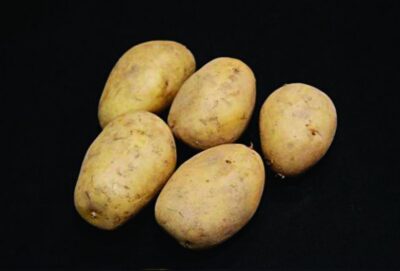 Lady Christl Seed Potatoes – 25kg