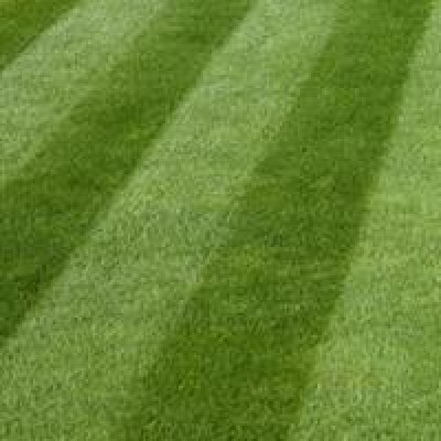 Luxury Grass Seed 20kg