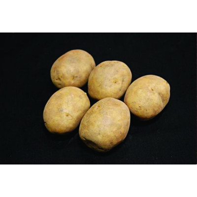Marfona Seed Potatoes – 2kg