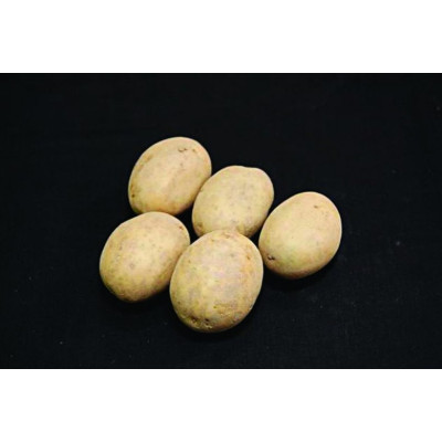 Nadine Seed Potatoes – 2kg