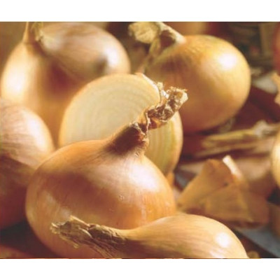 Onions – Sturon 350g