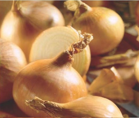 Onions – Sturon 20kg