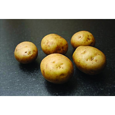 Orla Seed Potatoes – 2kg