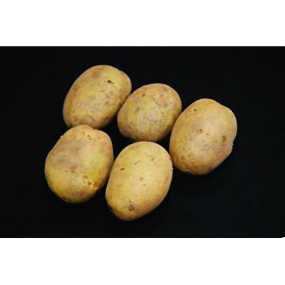 Premiere Seed Potatoes – 25kg