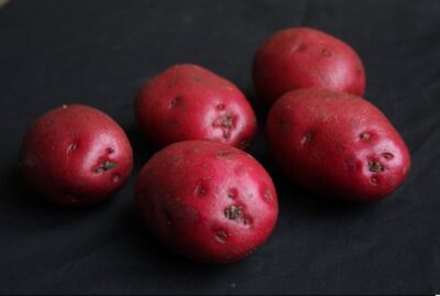 Red Duke Of York Seed Potatoes – 2kg