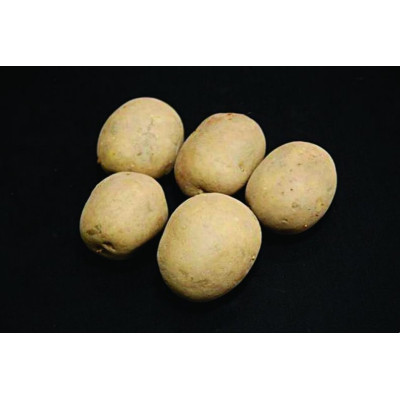 Saxon Seed Potatoes – 25kg