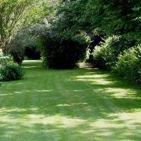 Shady Places Grass Seed 10kg