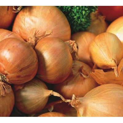 Shallot – Red Sun 400g