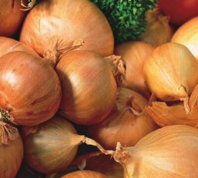 Shallots – Red Sun 20kg