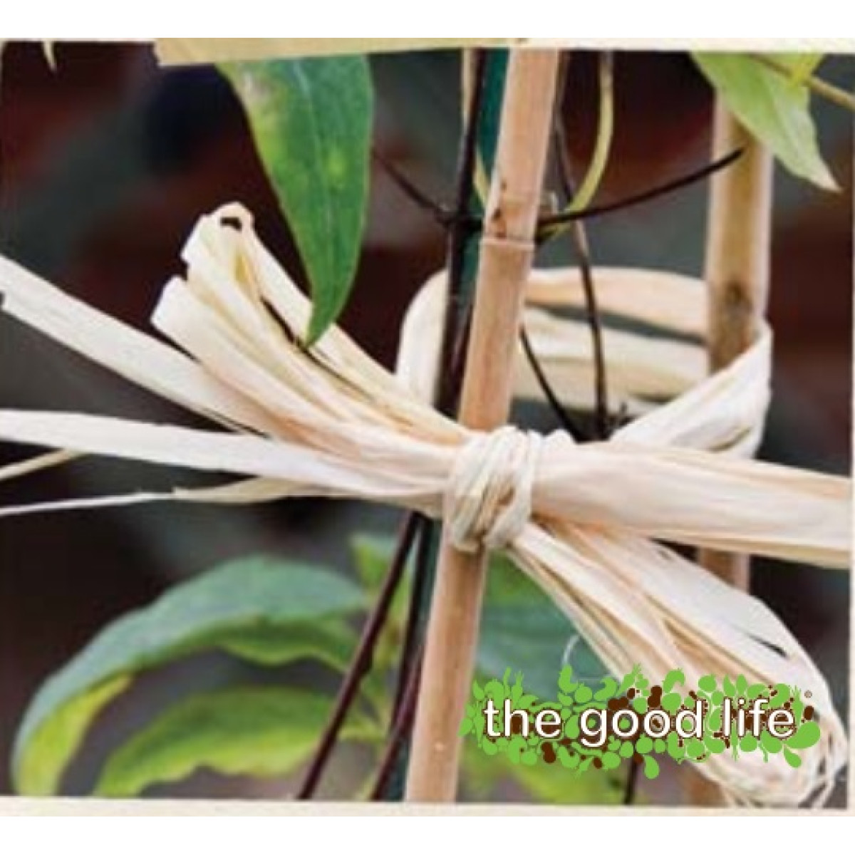 Raffia 40g