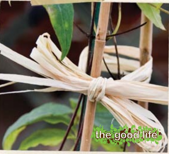 Raffia 40g