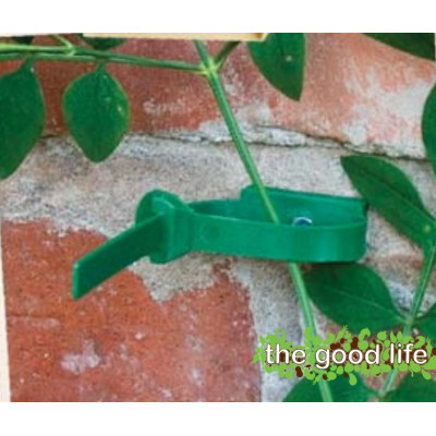 Plant to Wall Ties